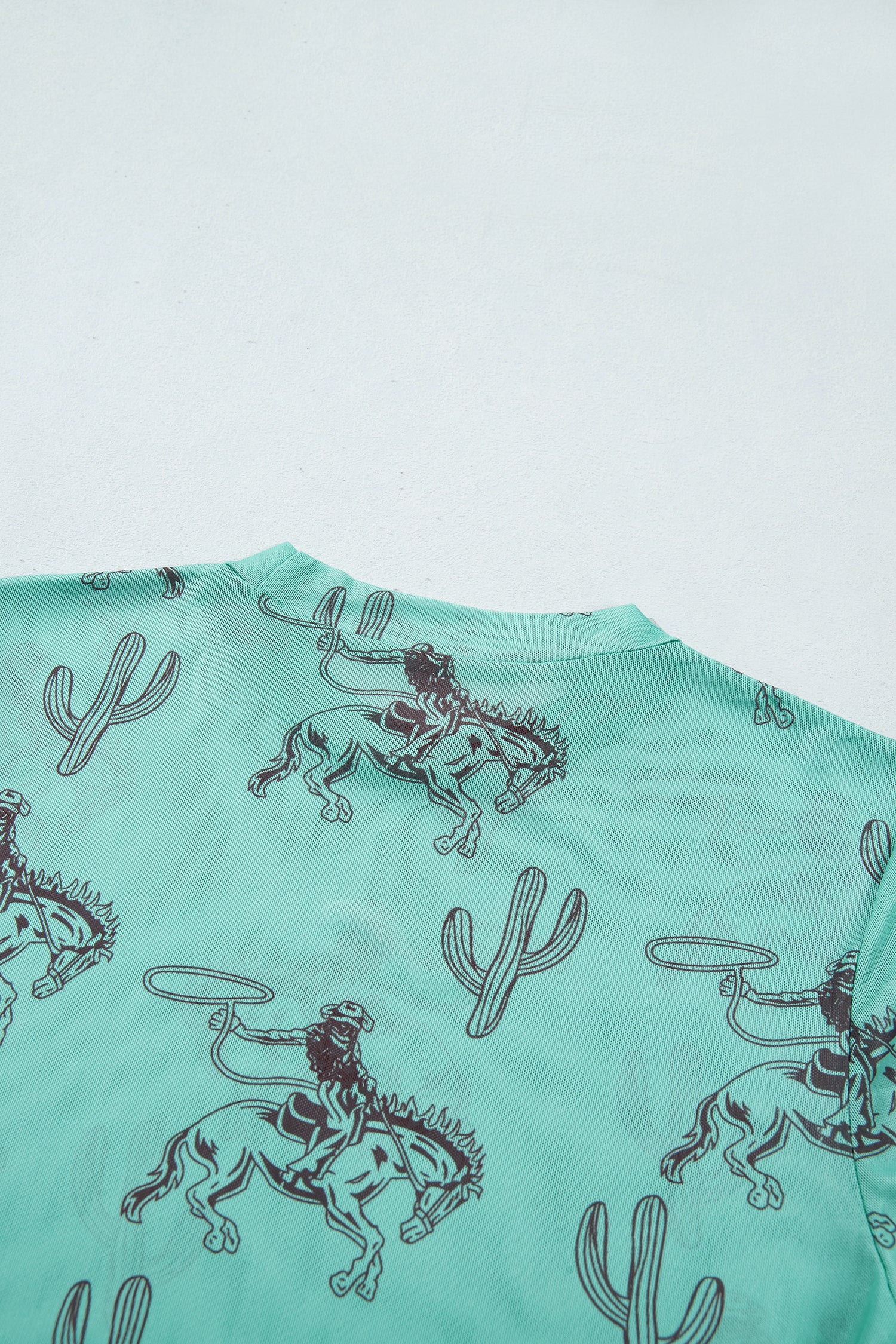 Aruba Blue Western Print High Neck Long Sleeve Sheath Mesh Top
